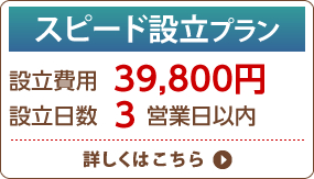 スピード設立
